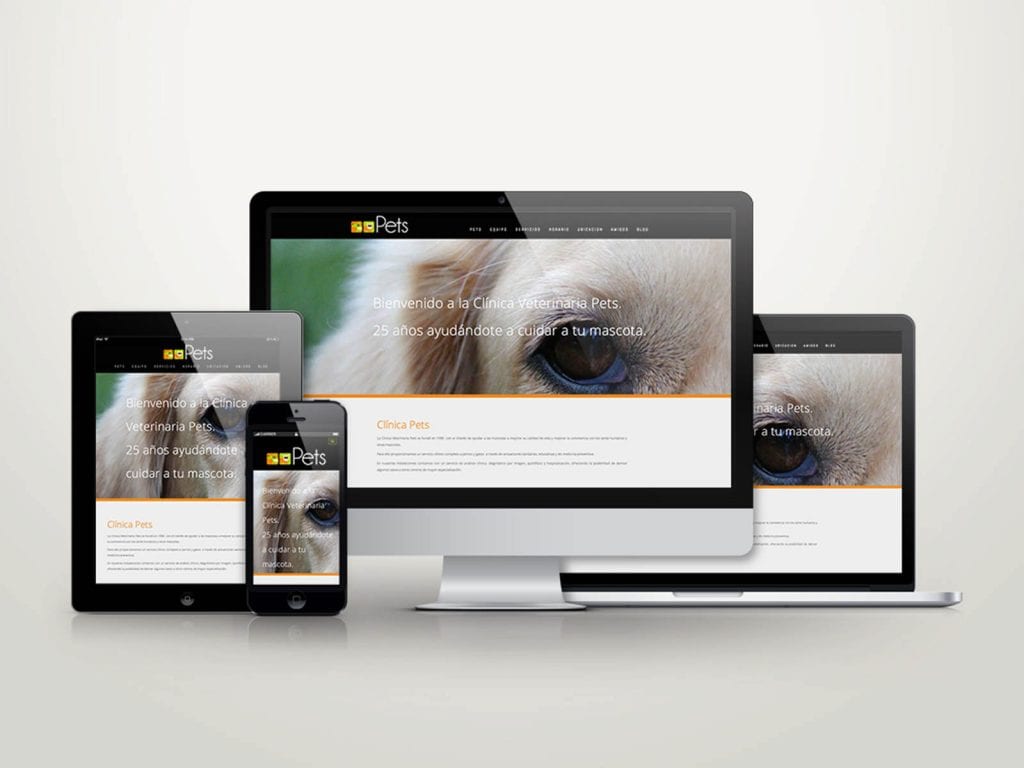 diseño de paginas web en vitoria