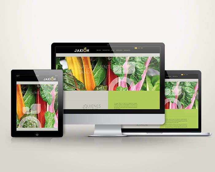 busco un diseñador de paginas web en Vitoria