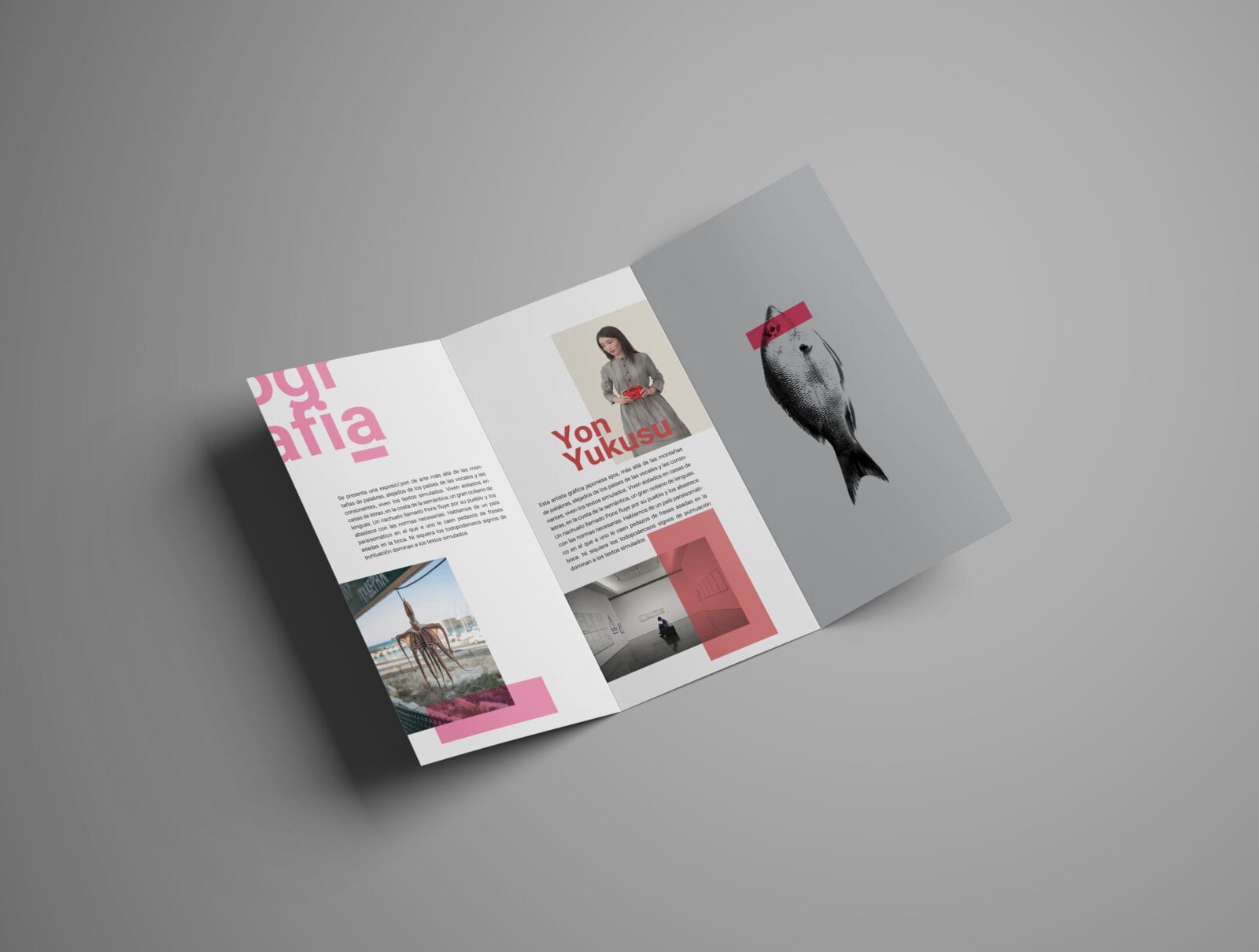 diseño gráfico de tripticos y catálogos en vitoria