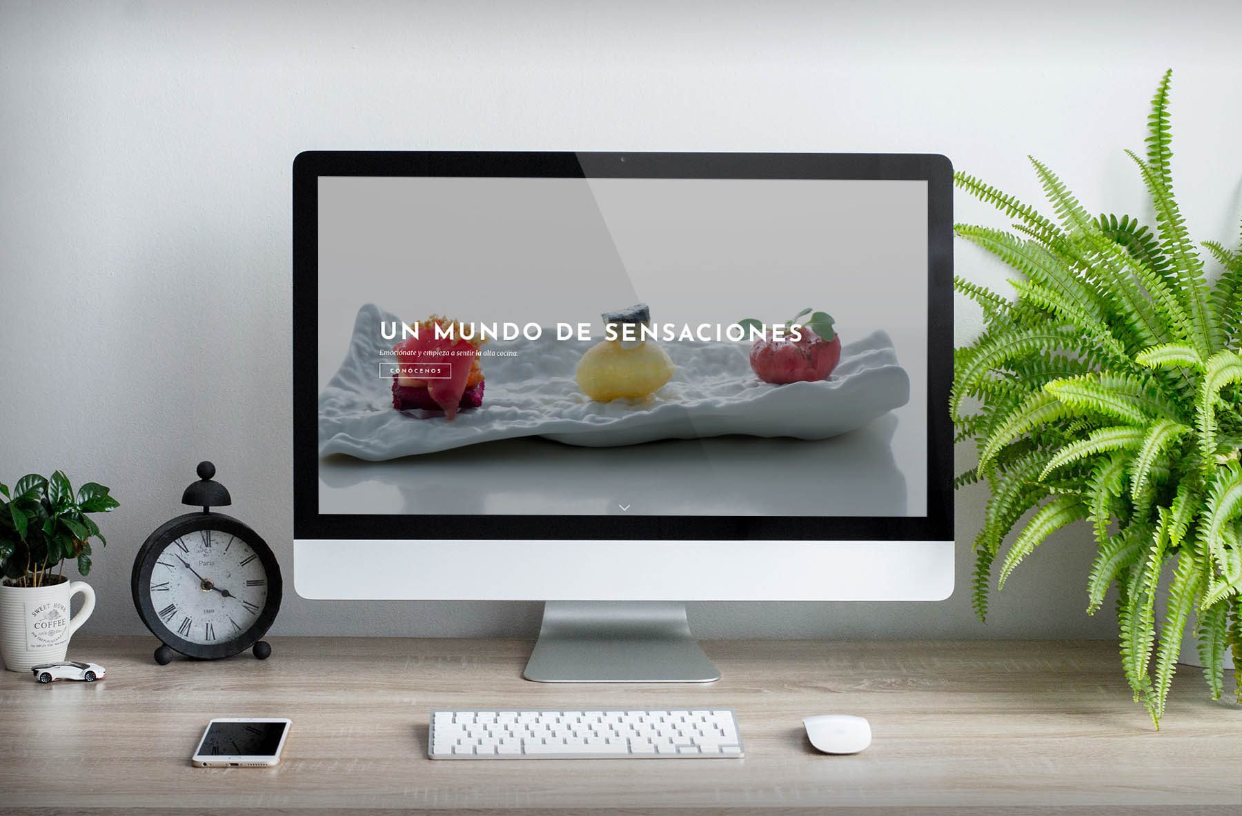 agencia de publicidad en vitoria especialistas en diseño de paginas web