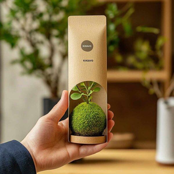 agencia-diseño-packaging-elegante-vitoria