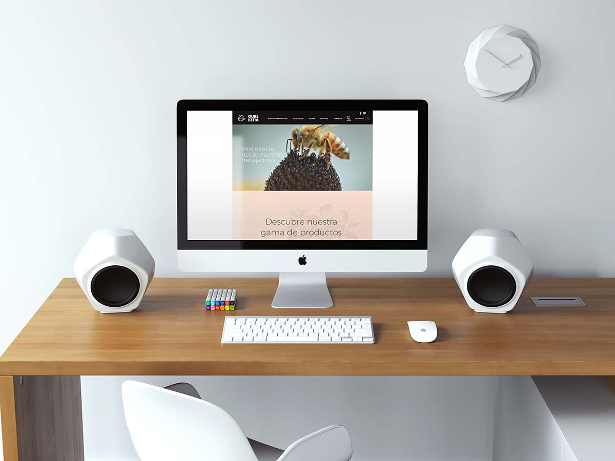 diseñador-web-vitoria